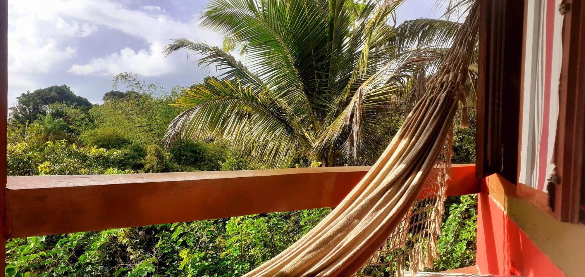 Novos Baianos Hostel E Pousada بورتو سيغورو المظهر الخارجي الصورة Hammock in the Caribbean