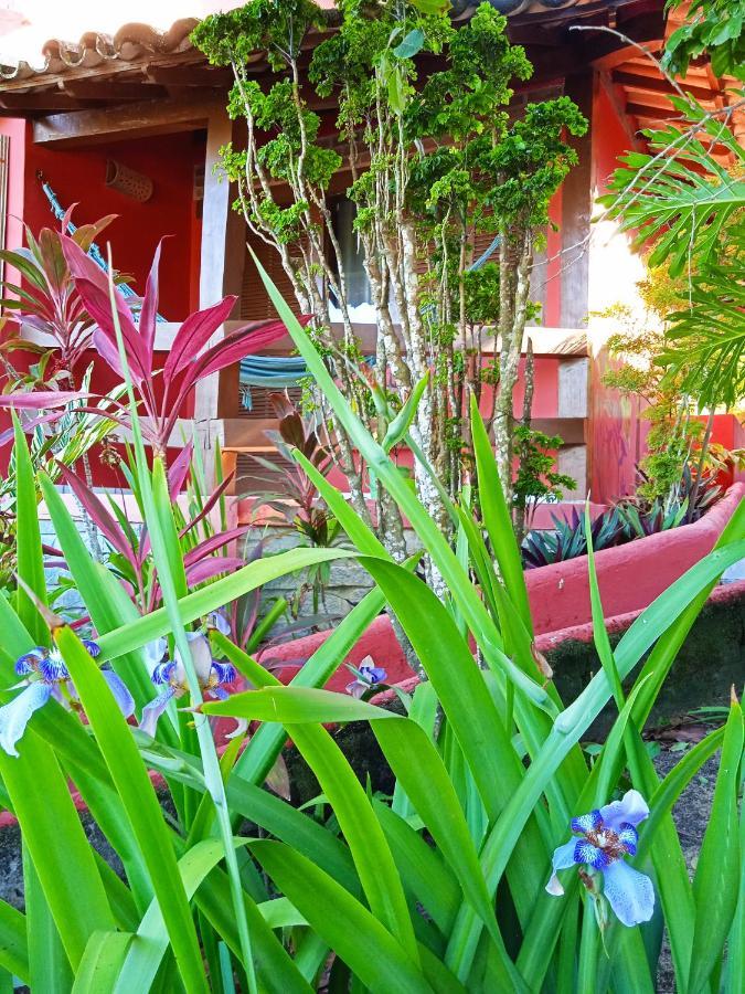 Novos Baianos Hostel E Pousada بورتو سيغورو المظهر الخارجي الصورة A garden in the city