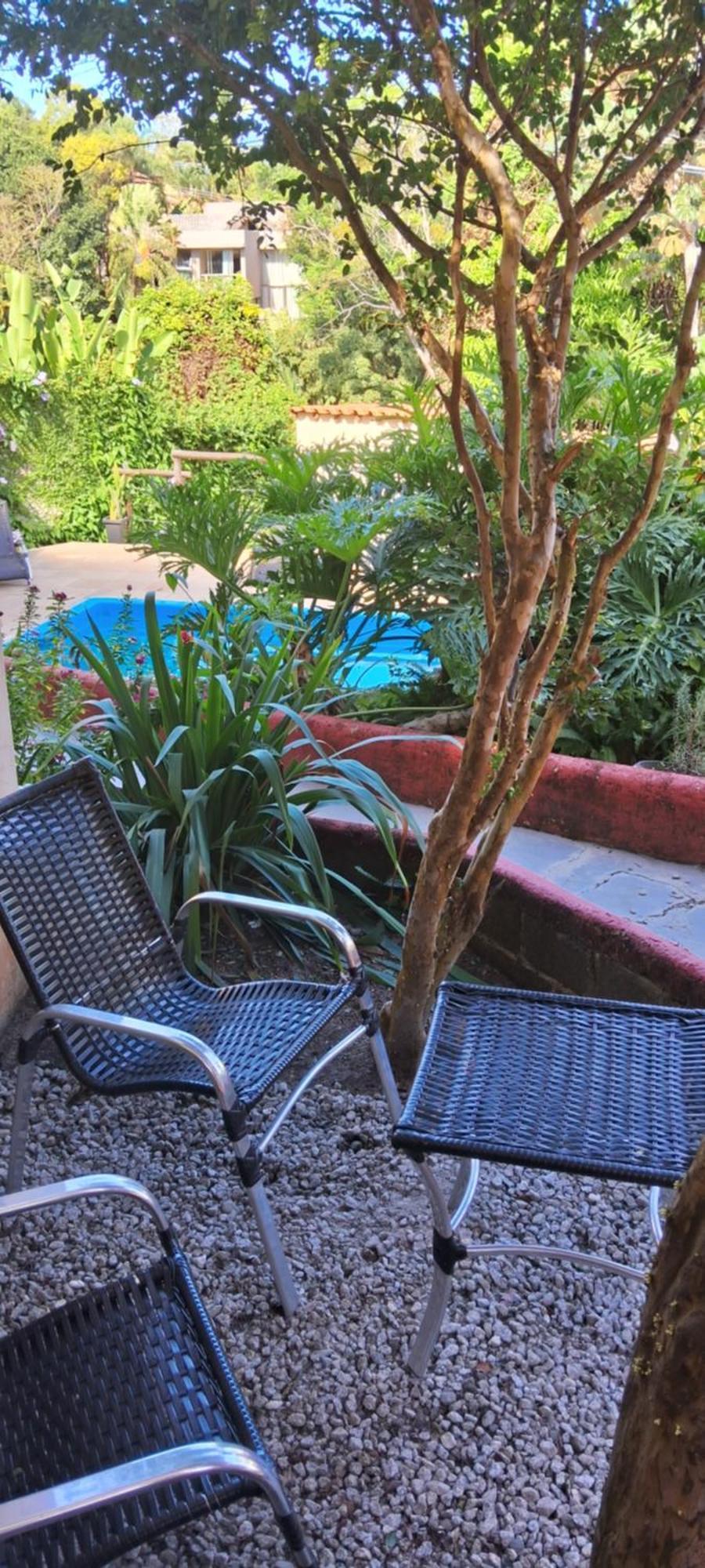Novos Baianos Hostel E Pousada بورتو سيغورو المظهر الخارجي الصورة A yucca plant in a garden