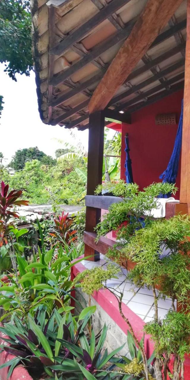 Novos Baianos Hostel E Pousada بورتو سيغورو المظهر الخارجي الصورة A view of the garden at the hotel
