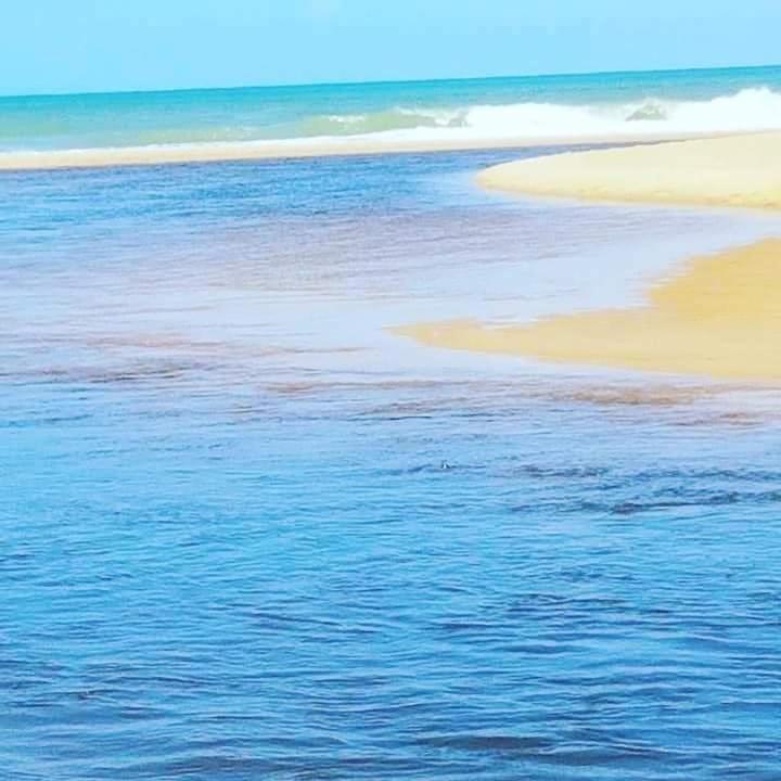 Novos Baianos Hostel E Pousada بورتو سيغورو المظهر الخارجي الصورة The river mouth