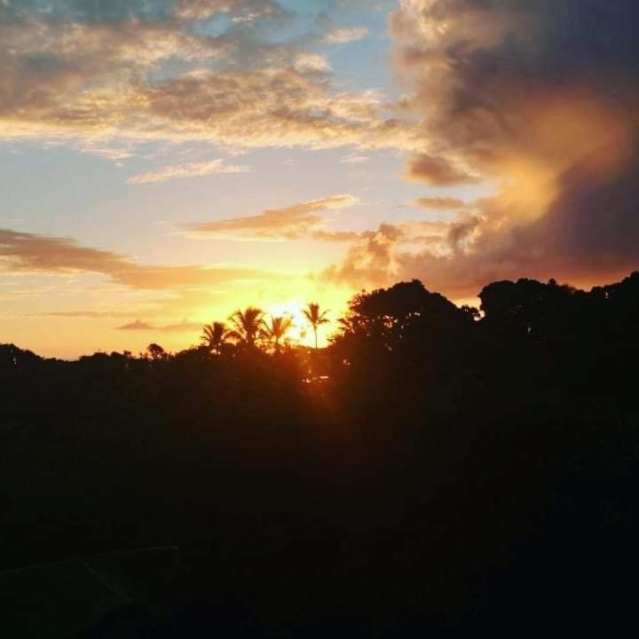 Novos Baianos Hostel E Pousada بورتو سيغورو المظهر الخارجي الصورة Sunset in the rainforest